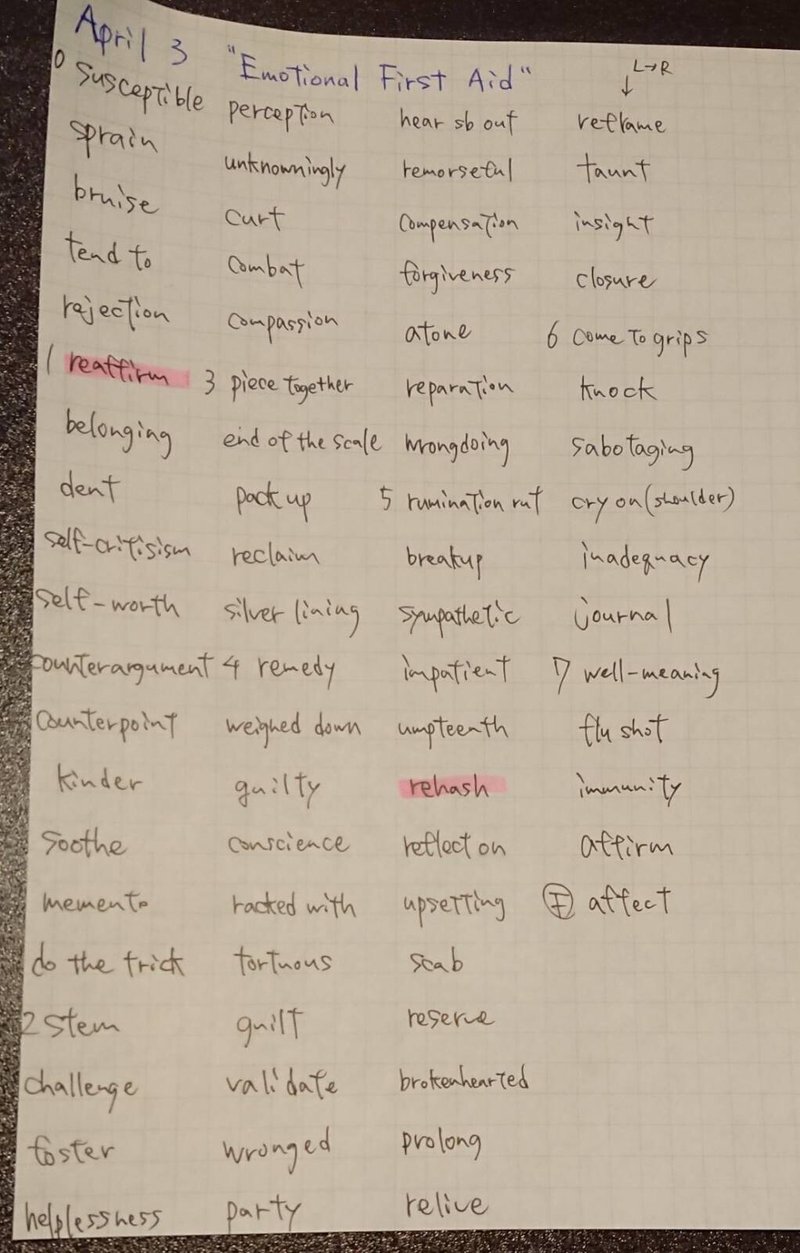 英語学習日記 18 Emotional First Aid 井上サボ太 Note