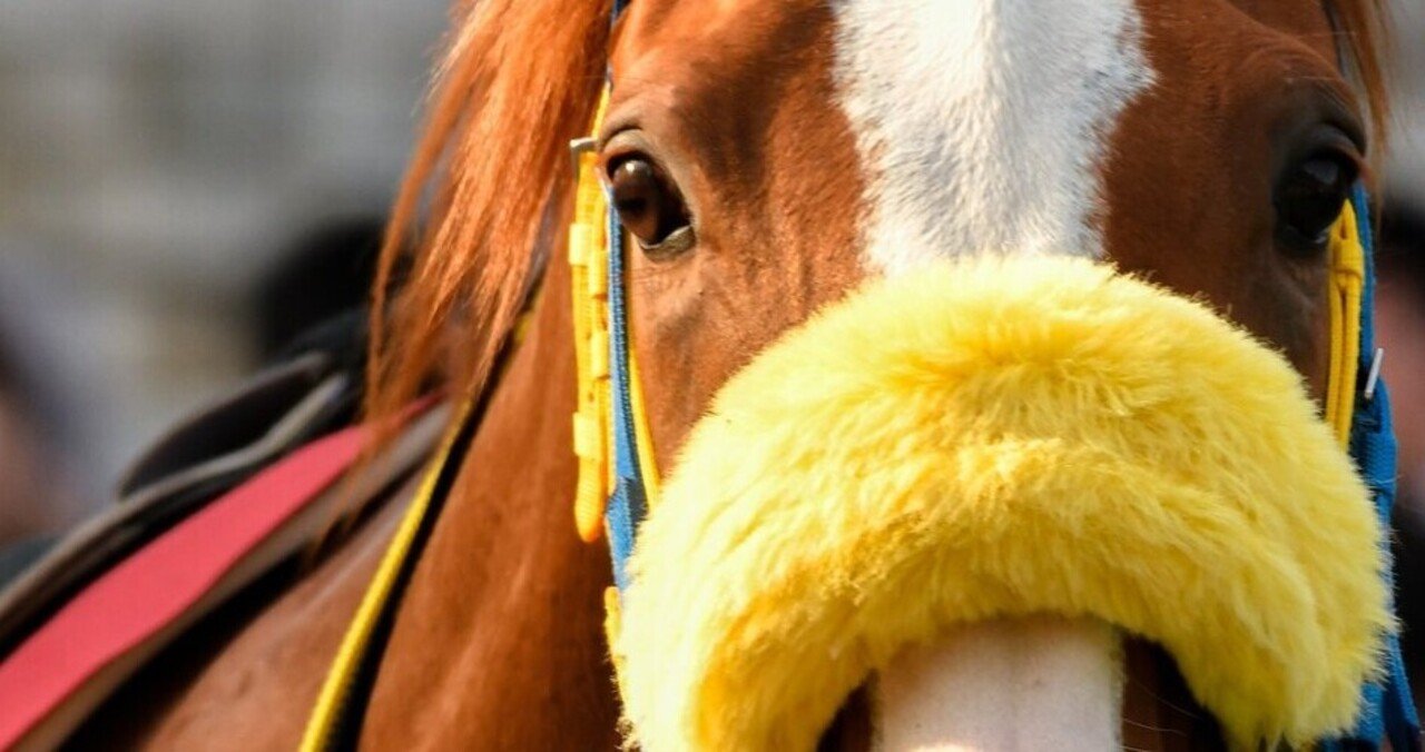2021/04/03 中山競馬予想 反省会。