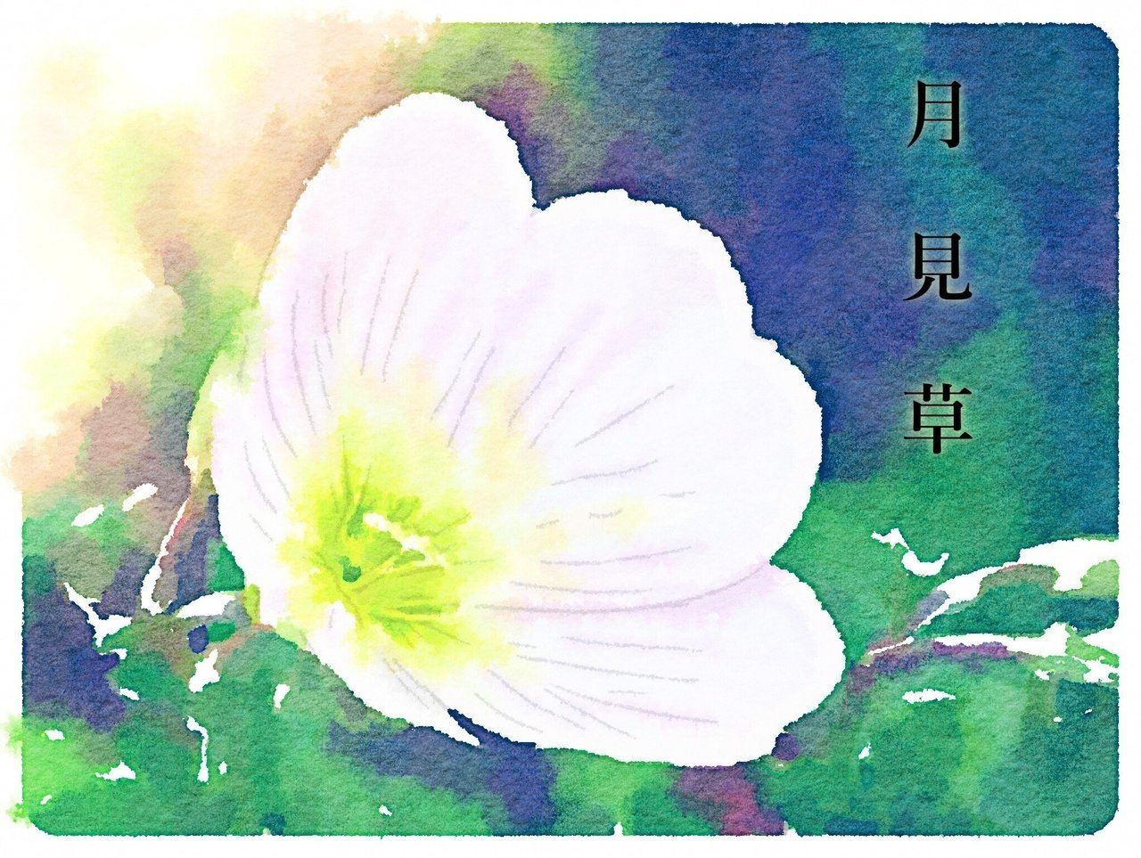 おはよう誕生花集 14 06 Tockni Note