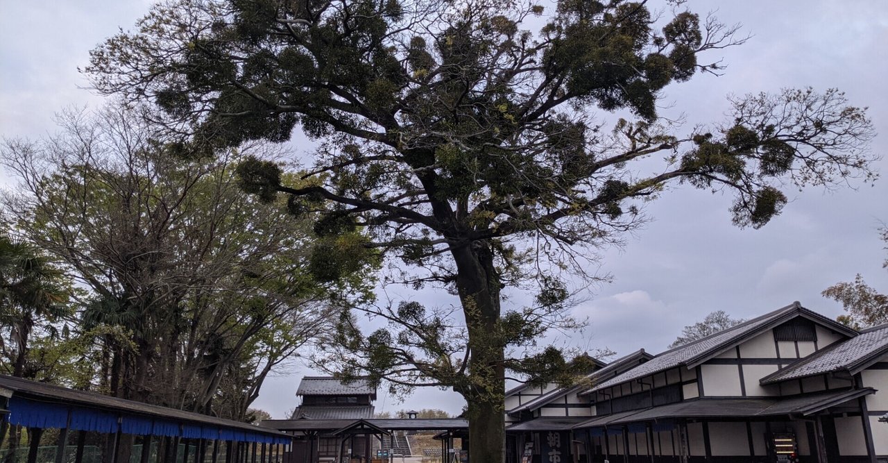 不逞の輩 英語