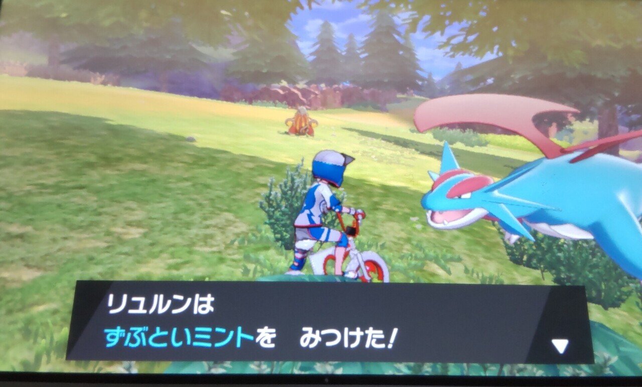 ポケモン対戦初心者へのバイブルその3 性格補正の話 ミントを拾える場所 リユルン Note