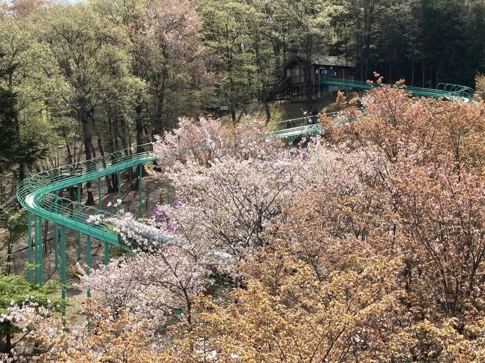 画像6