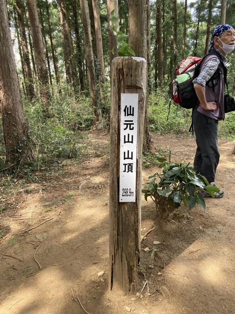 画像8
