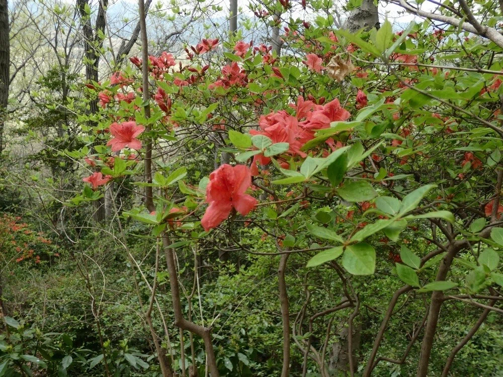 画像10