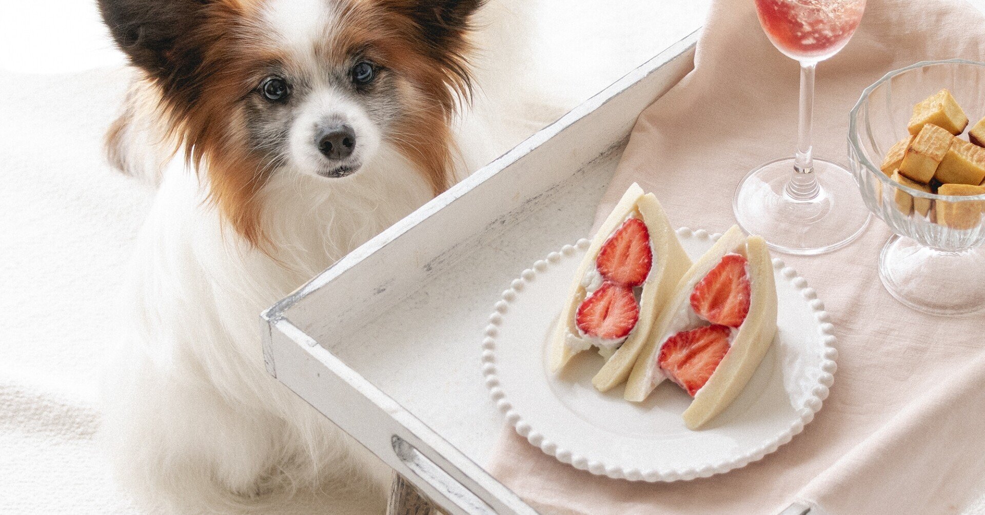 食パン不要 高野豆腐のフルーツサンド 手作り犬おやつレシピ 単品購入 いちかわあやこ 犬ごはん先生 Note 食パン不要 高野豆腐のフルーツサンド 手作り犬おやつレシピ 単品購入 いちかわあやこ 犬ごはん先生 Note