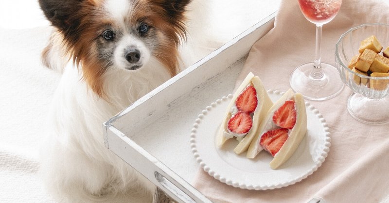食パン不要 高野豆腐のフルーツサンド 手作り犬おやつレシピ 単品購入 いちかわあやこ 犬ごはん先生 Note