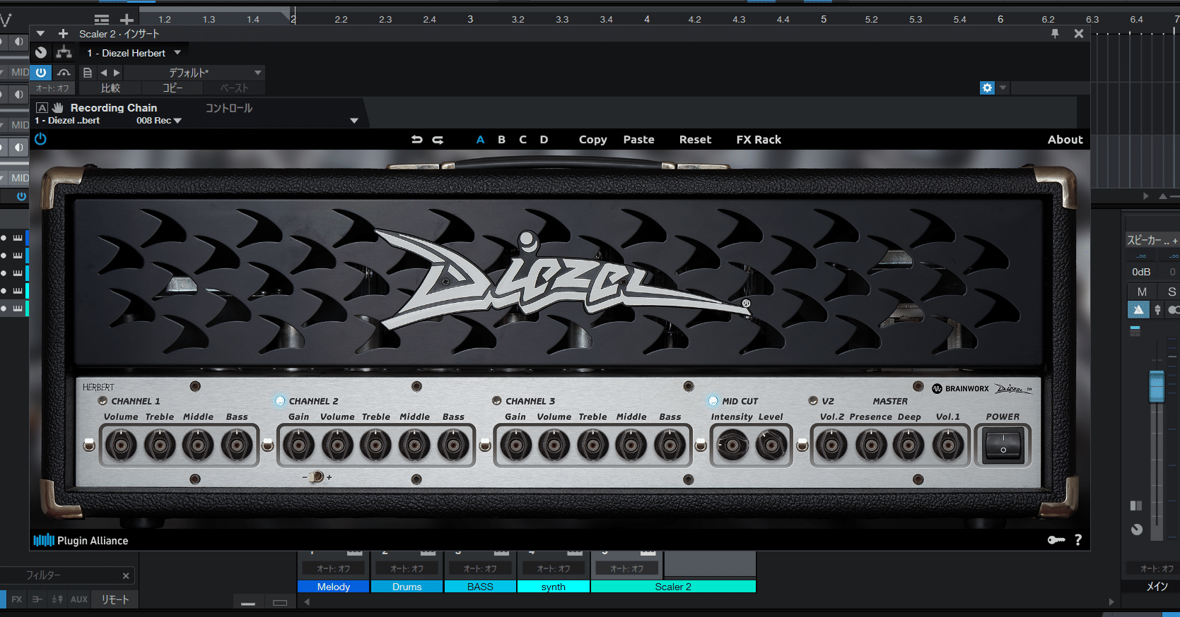 デュアルビーディーアールレイディアンズデッドシークレ ポリエステルタフタレッグウォーマー (WOMENS) | St ANDREWS（セント