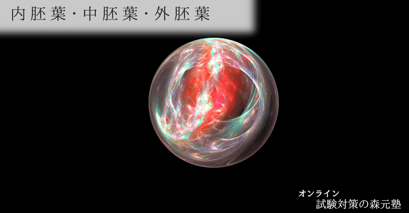 解剖学 図解イラストとゴロで簡単 分化 発生 内胚葉 中胚葉 外胚葉 の覚え方 森元塾 国家試験対策 Note
