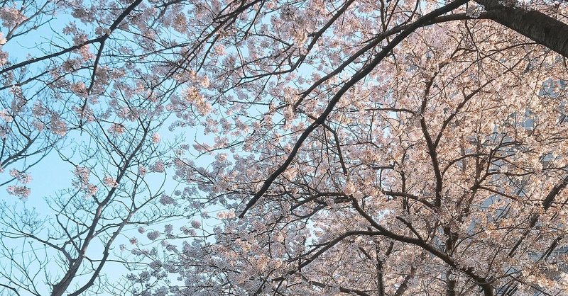 がさつでだらしない女を卒業したい ゆりこ Note