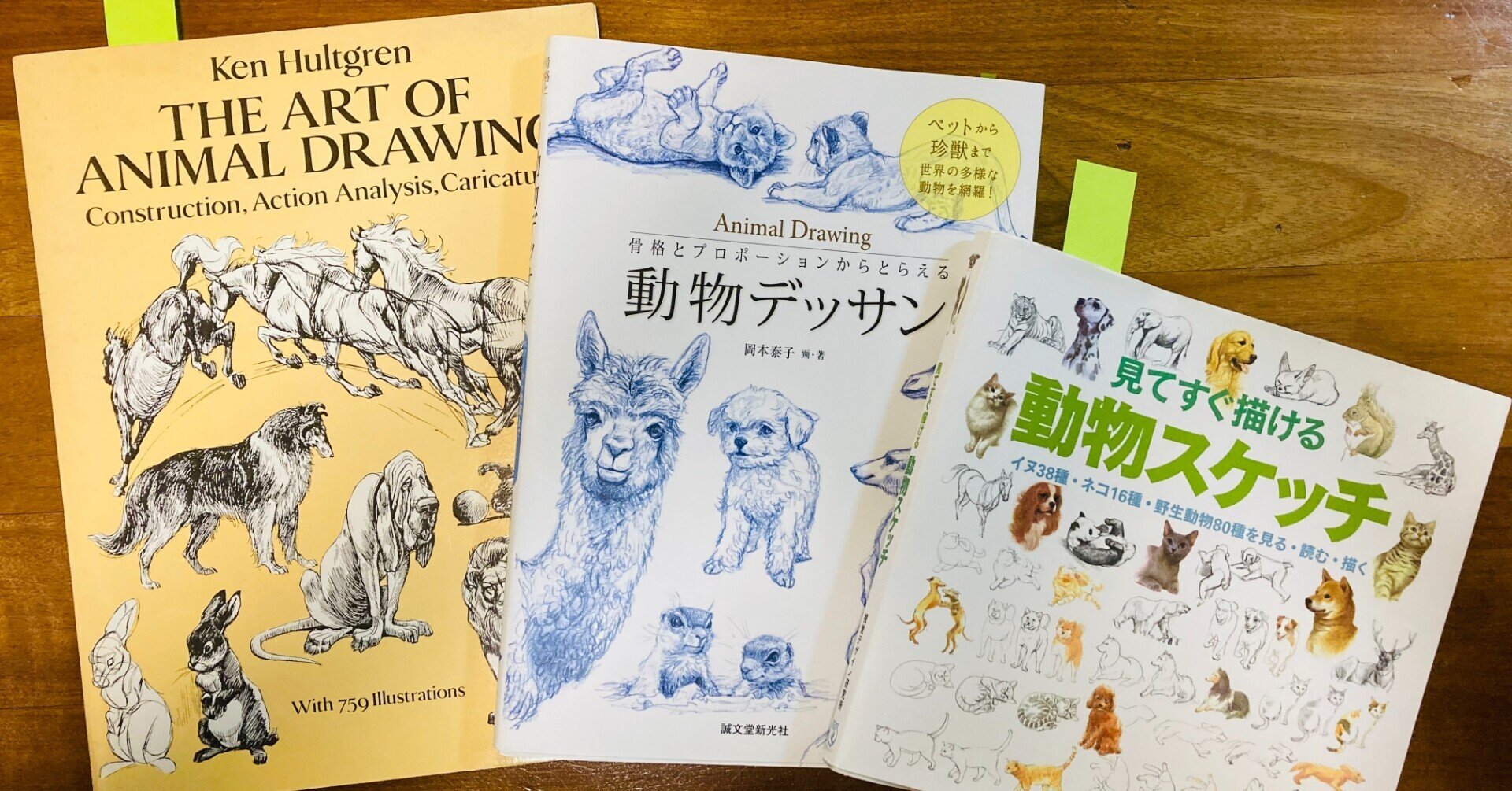 動物の絵を上手く描けるようになりたくて購入したオススメ書籍3選