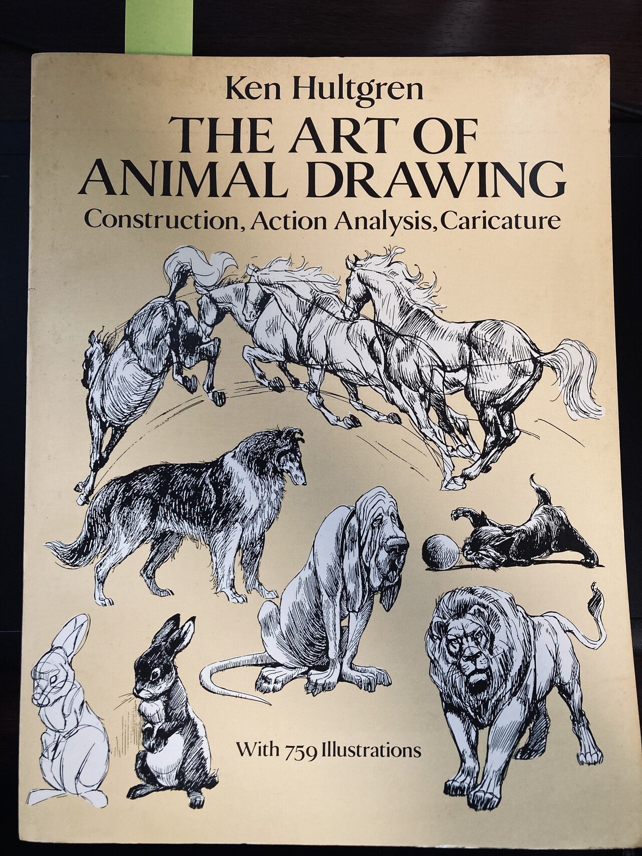 動物の絵を上手く描けるようになりたくて購入したオススメ書籍3選