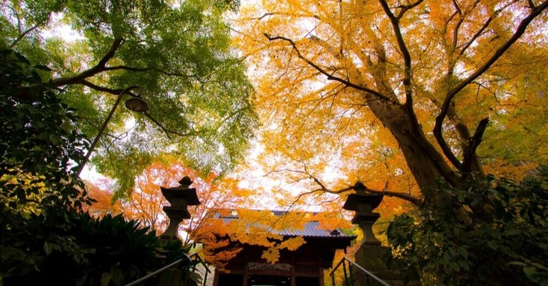「太平記」「鎌倉殿の13人」ゆかりの１Day Tripプラン