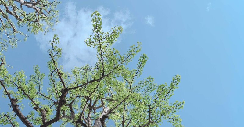 春は出会いと別れの季節 の新着タグ記事一覧 Note つくる つながる とどける