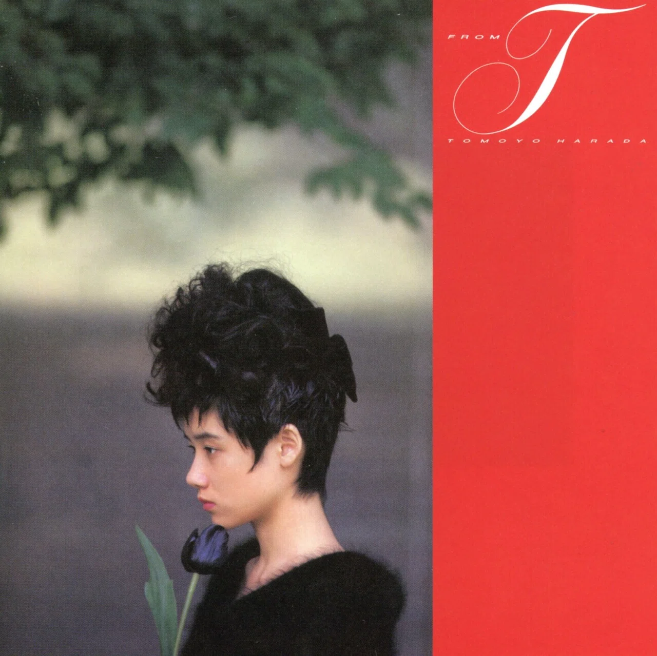 80年代アイドル「レコード・CDジャケット」狂－本篇－｜時澤 言森(とき
