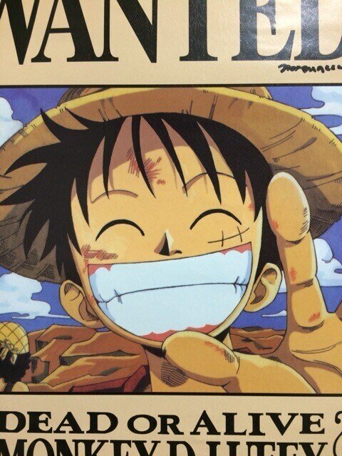 突然ですが 漫画ワンピースの主人公であるルフィ この笑顔が僕はとても好きです 何だかよく分からないけど元気が出てきます 生きていく上において 笑うことはとても大事 1日の中で少しでも笑いで溢れる時間が増 介護を支える人 の心が軽くなる 勇気がわいて