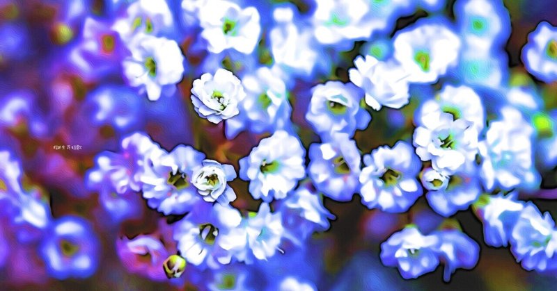 4月4日 誕生花は霞草 誕生花短歌 御子柴 流歌 Note 4月4日 誕生花は霞草 誕生花短歌 御子柴 流歌 Note