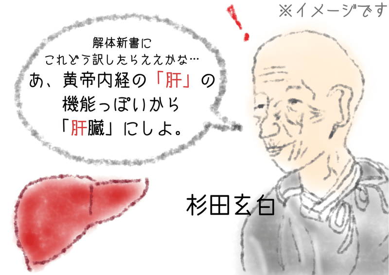 中医学イラスト (2)