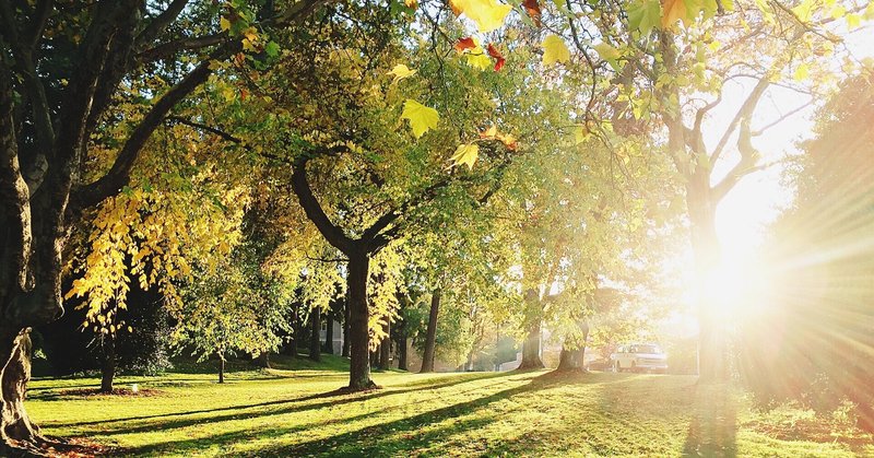 波動の低い人と絡む 絡まない問題 私の場合 keiko usami note