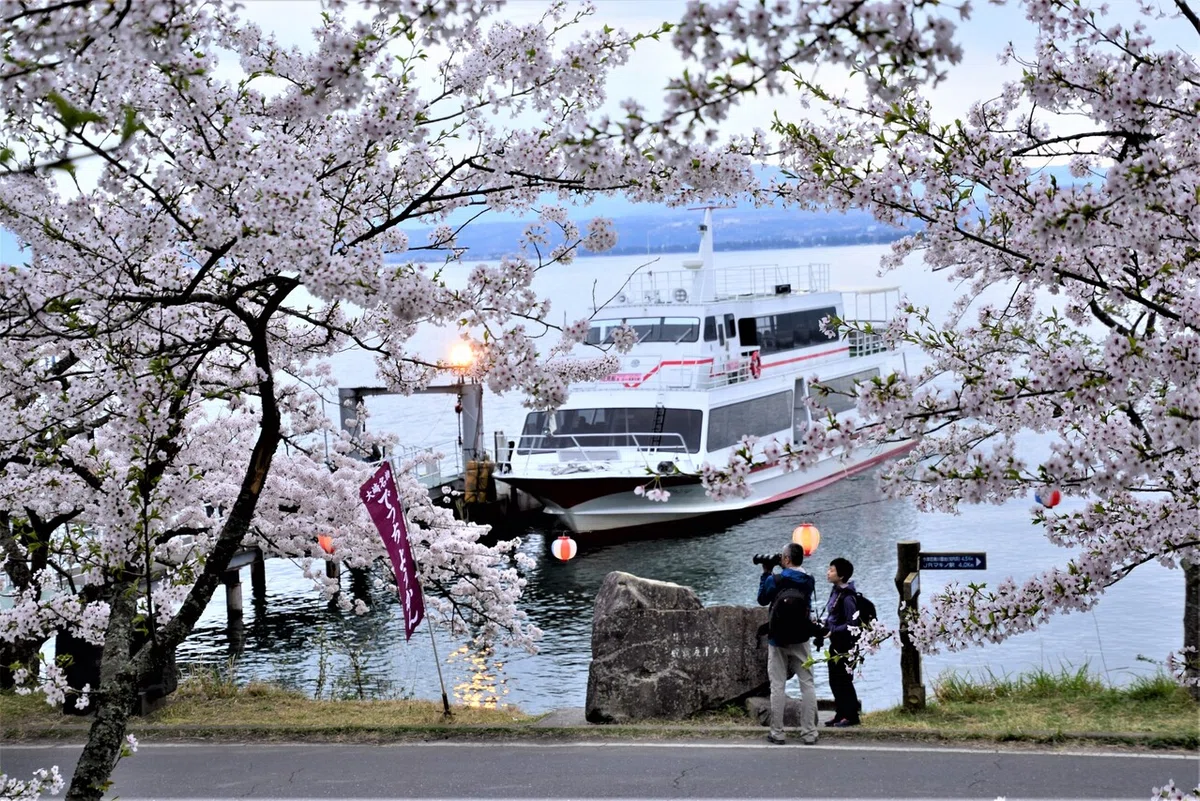 画像8