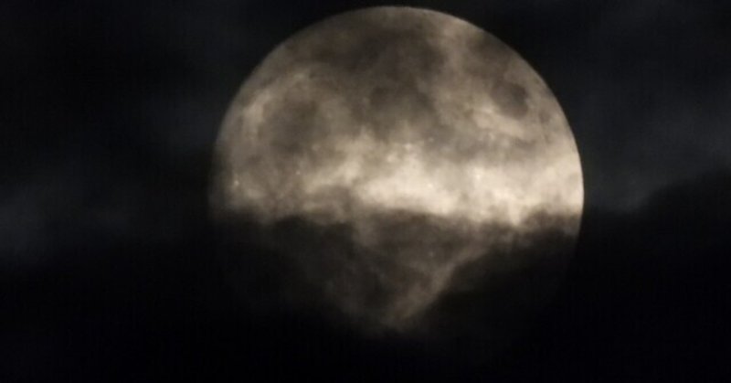 リアルな怖い夢を見た 神代ネム Note毎日更新 Note