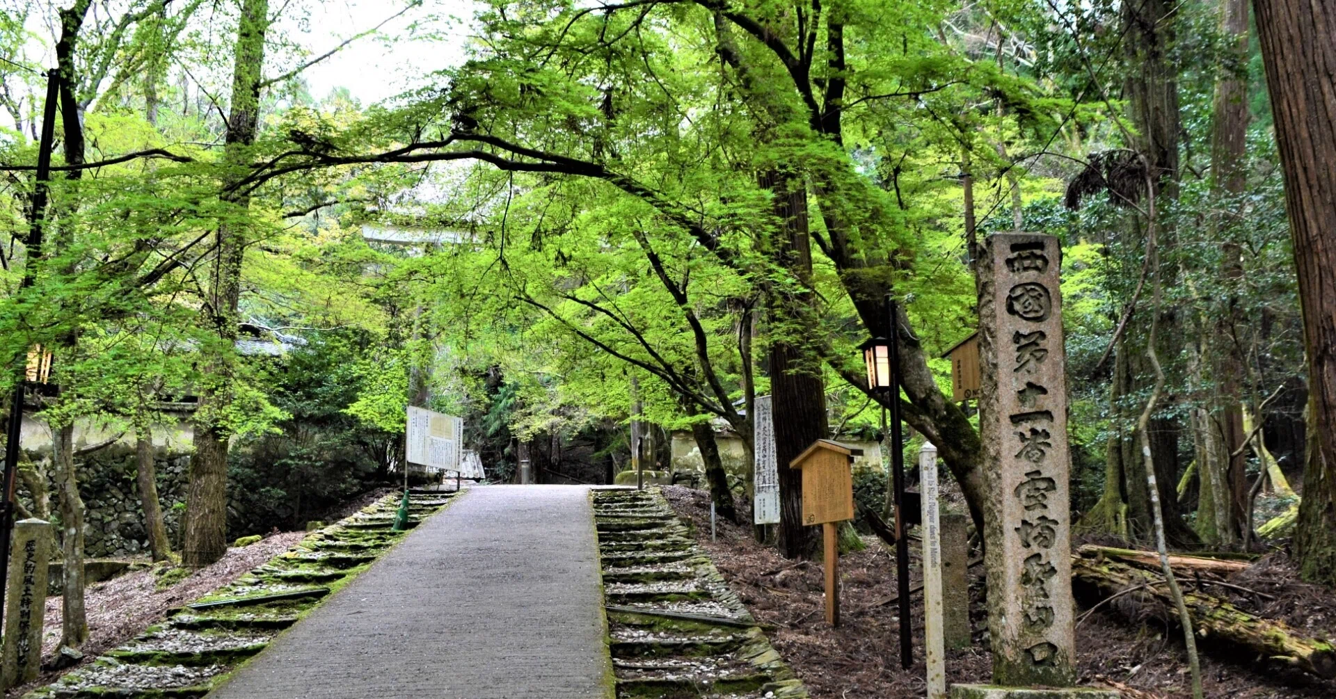 茶掛け　真実一路　醍醐山 醍醐山の醍醐味｜走山歩れぽれ