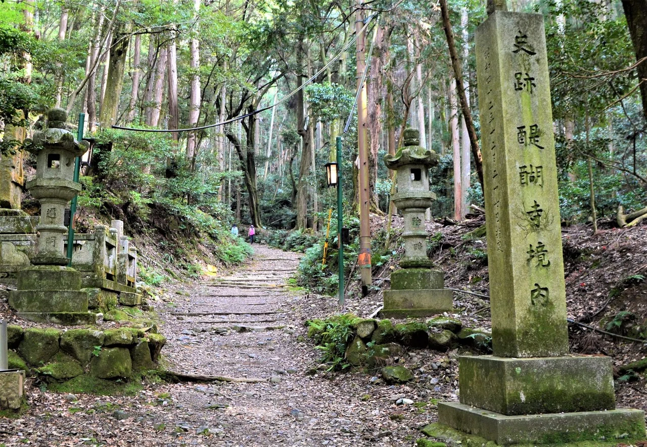 醍醐山の醍醐味|走山歩れぽれ 醍醐山の醍醐味|走山歩れぽれ