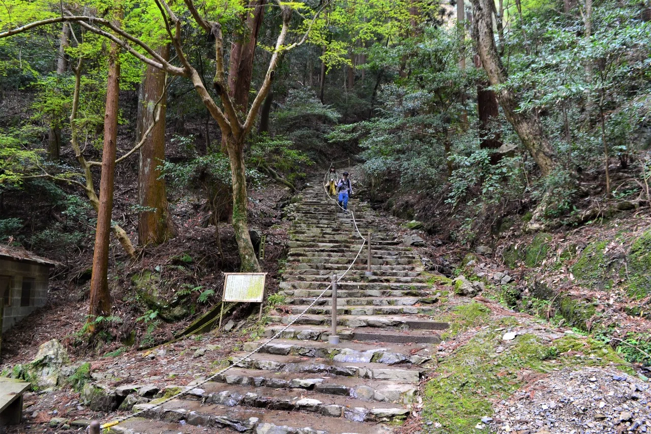醍醐山の醍醐味｜走山歩れぽれ