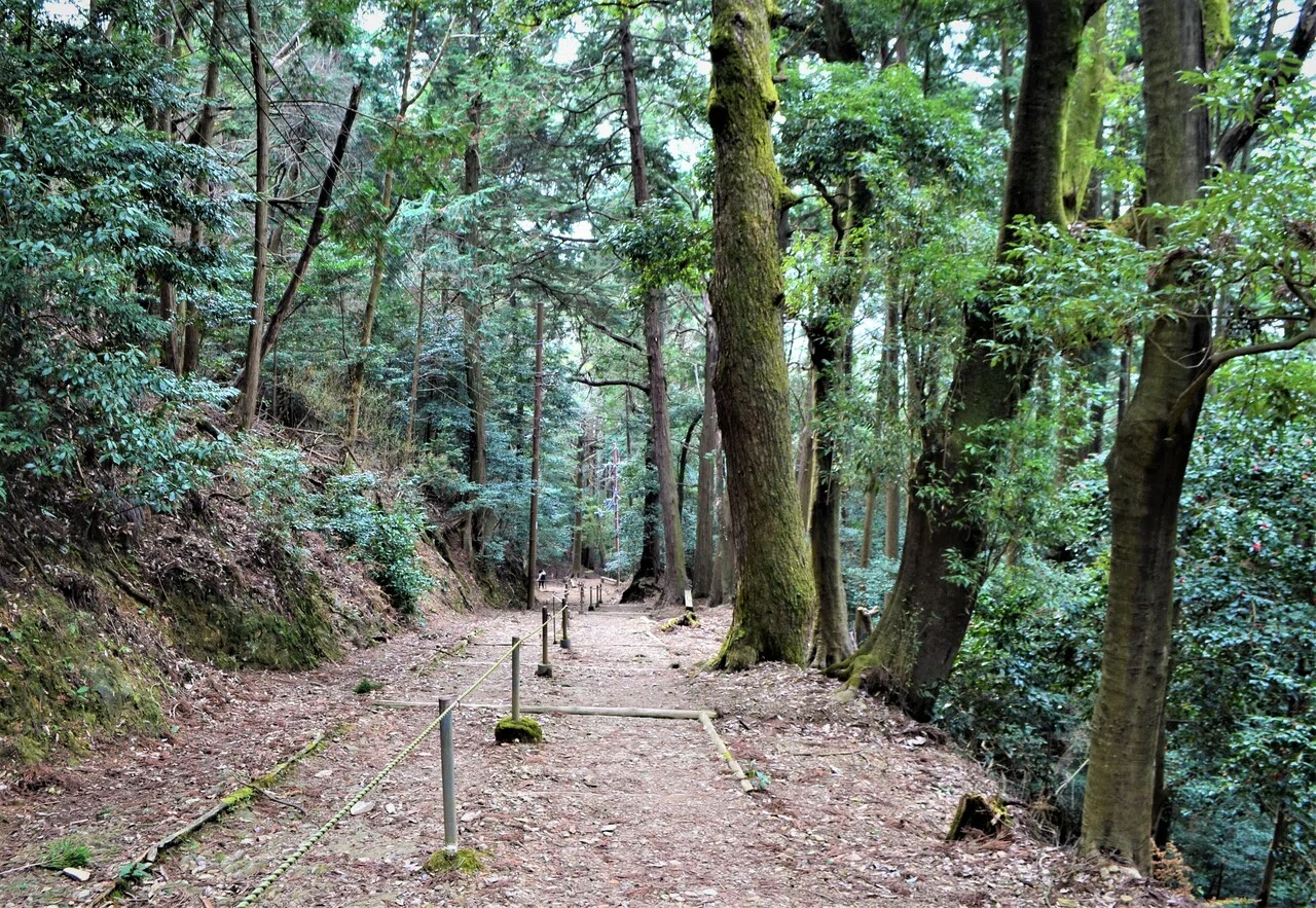 茶掛け　真実一路　醍醐山 醍醐山の醍醐味｜走山歩れぽれ