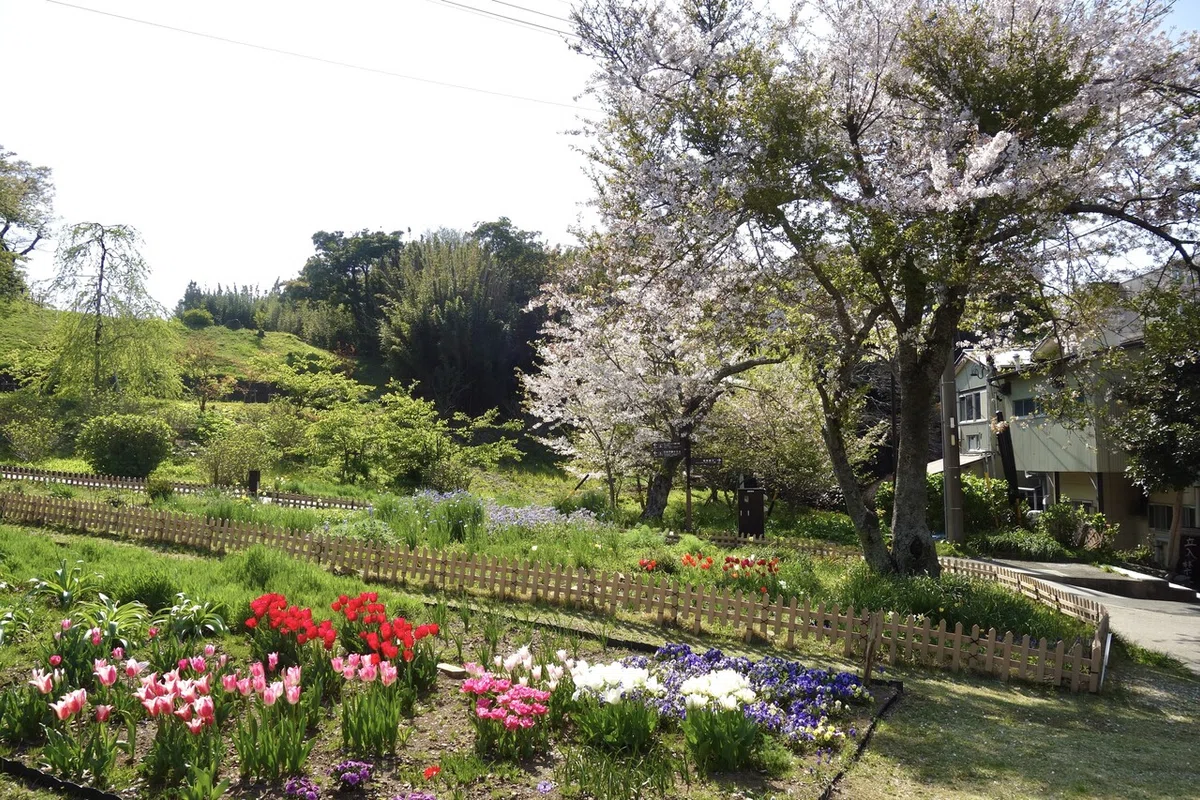 画像5
