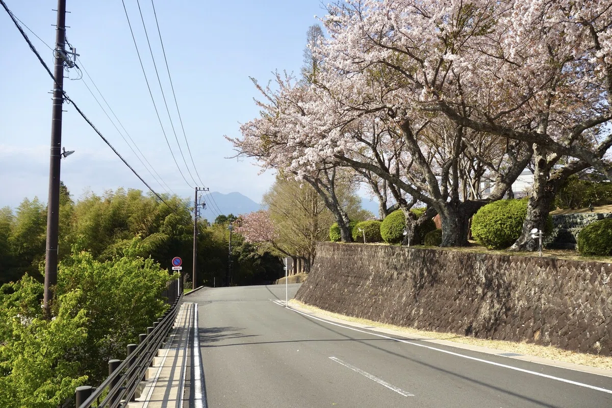 画像7