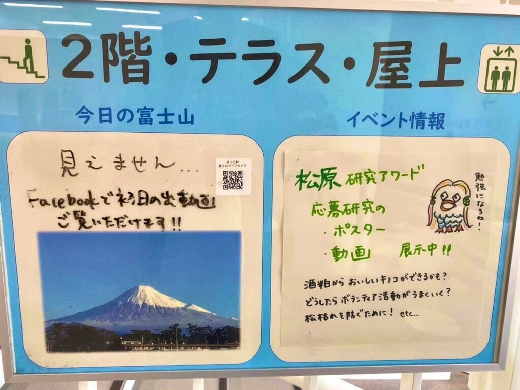 画像13