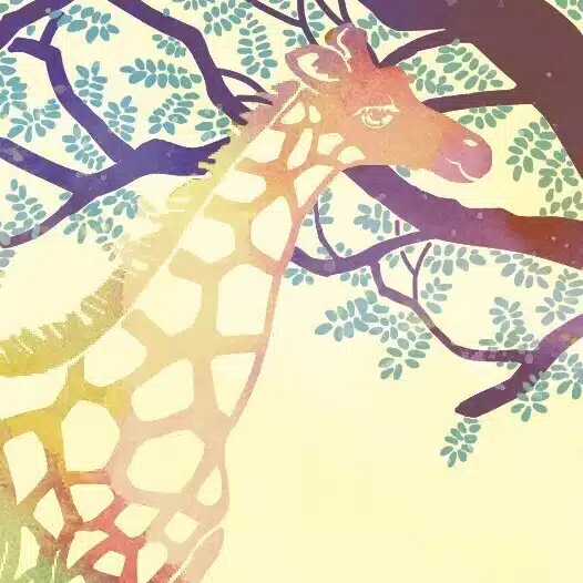 佐々木倫🦒Kirin Sasa