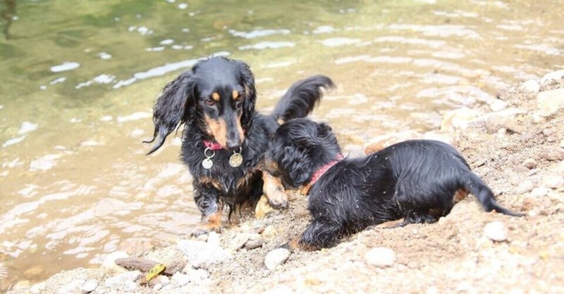 高野 縁 たかのゆかり Note