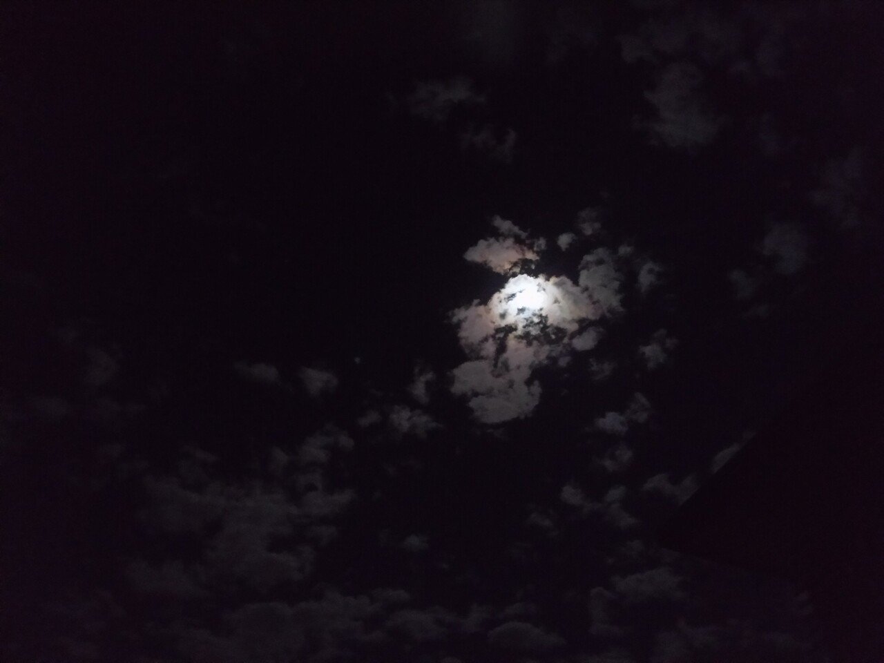 Zxj0hatqnk8iom Zxj0hatqnk8iom