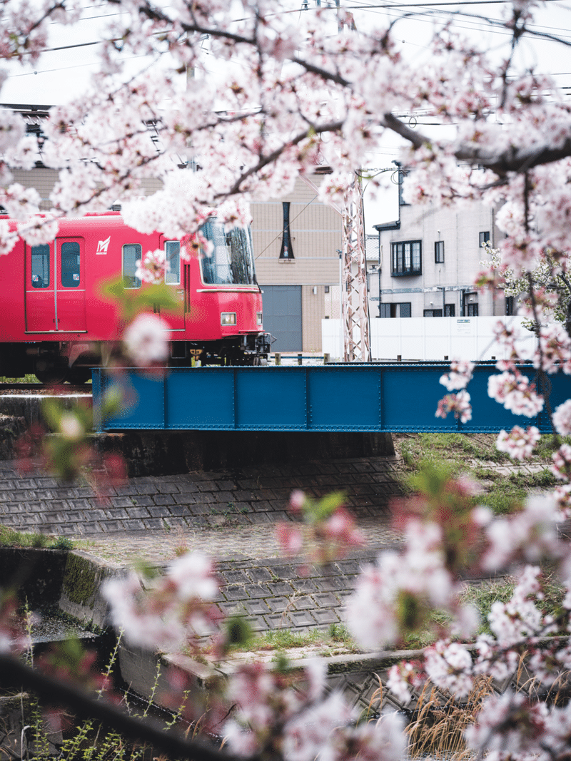 桜 バイバイ クロギタロウ Note 桜 バイバイ クロギタロウ Note