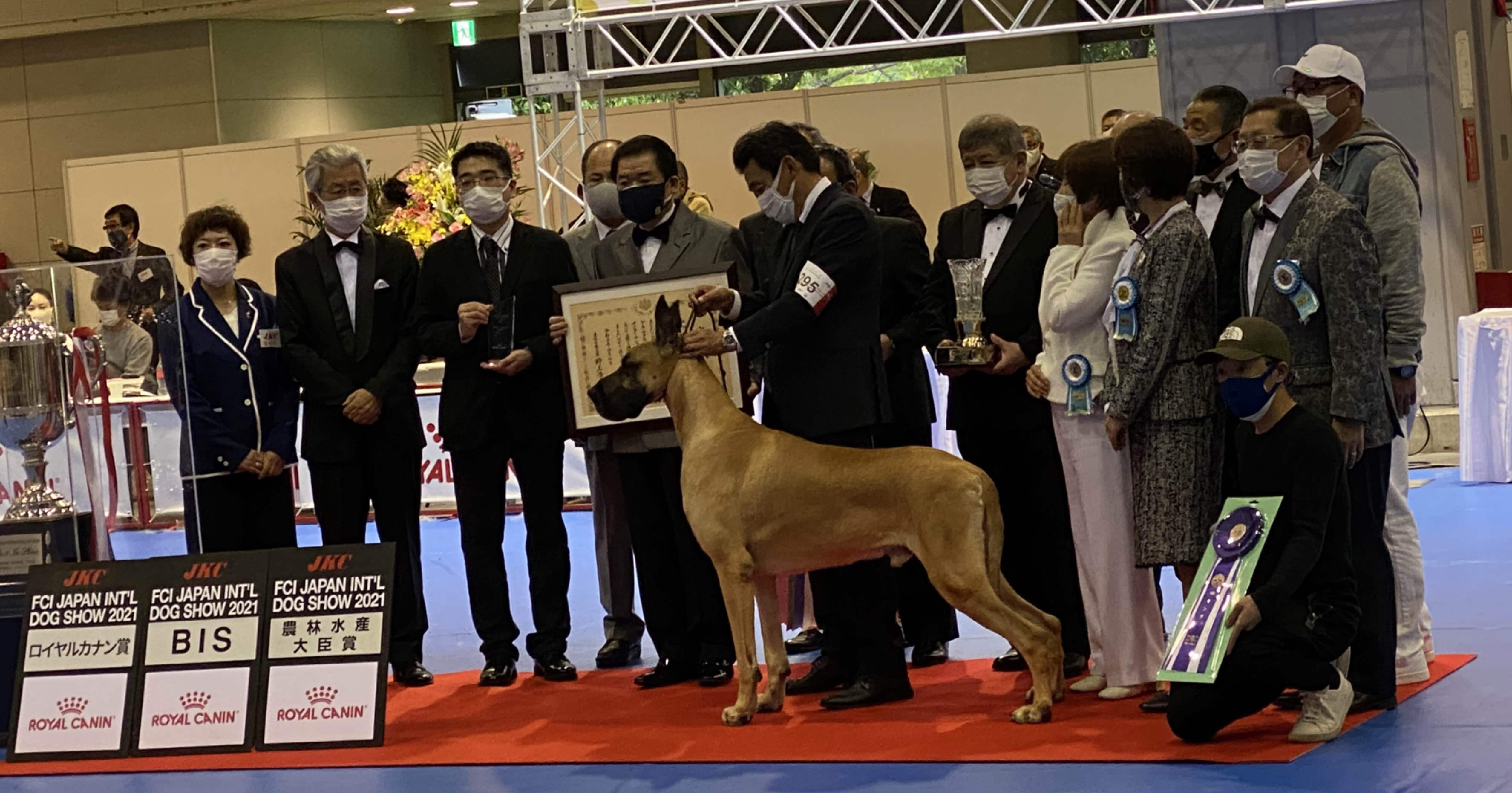 107の犬種からベストインショーを決める審査員の責任の重さ 樫原弘志 Waterside Laboratory Llc Note 107の犬種からベストインショーを決める審査員の責任の重さ 樫原弘志 Waterside Laboratory Llc Note
