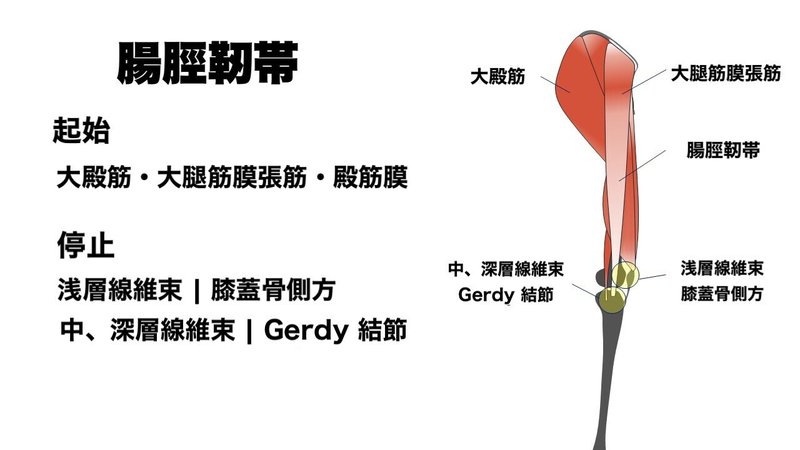 腸脛靭帯炎 評価 L Fit Note 腸脛靭帯炎 評価 L Fit Note