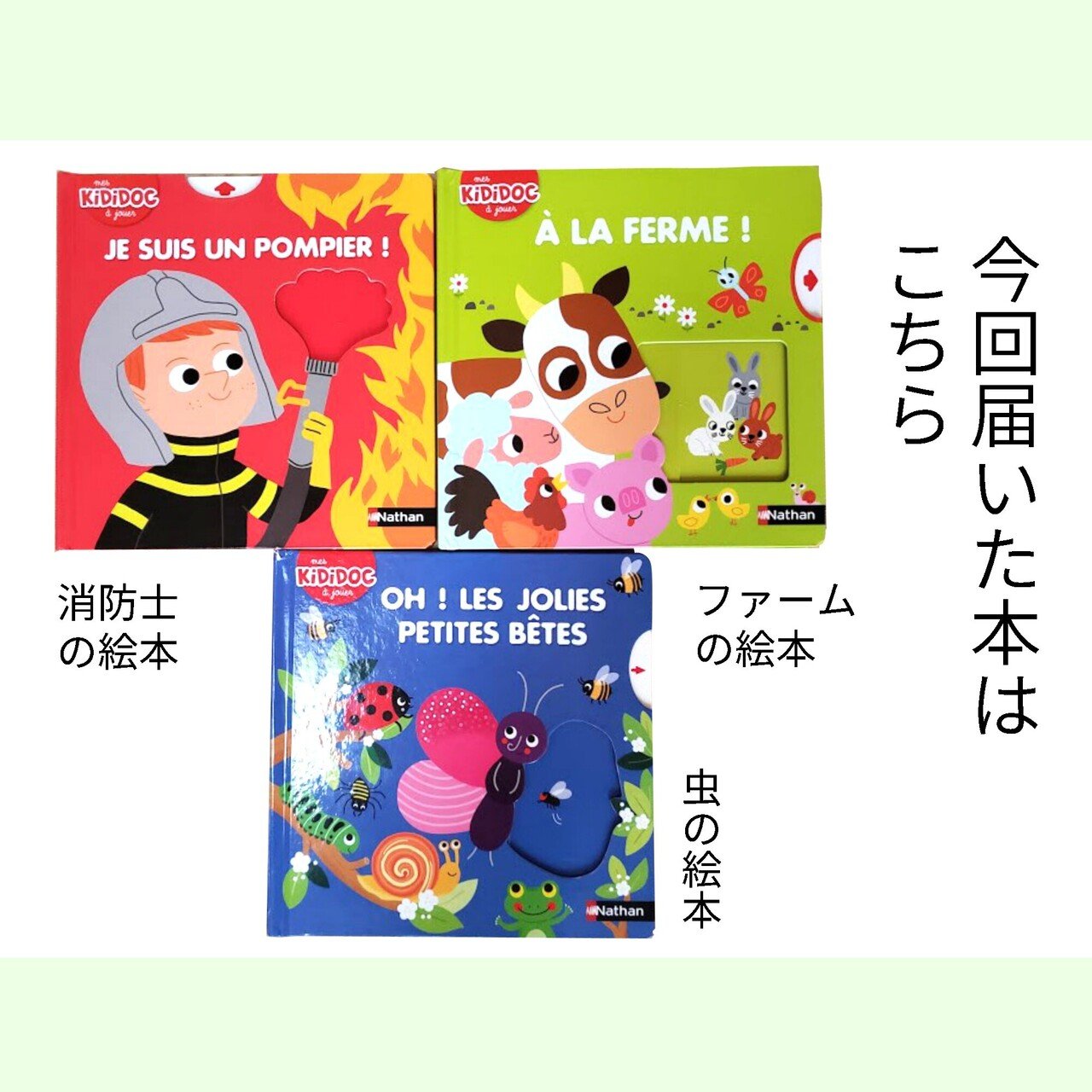 てんとう虫のはなし 大場もも Note