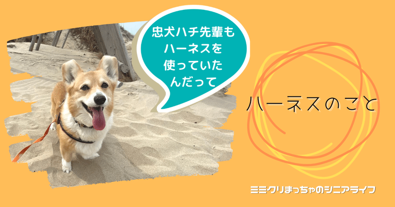 抹茶に使っているハーネスの紹介と選んだ理由 たばたまき Note 抹茶に使っているハーネスの紹介と選んだ理由 たばたまき Note