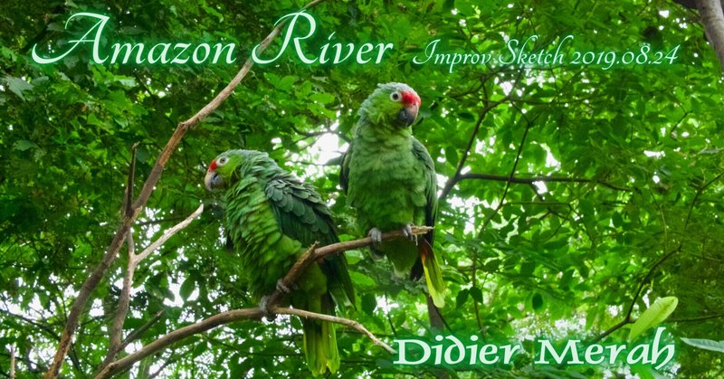 音楽評論: "Amazon River" - by Didier Merah