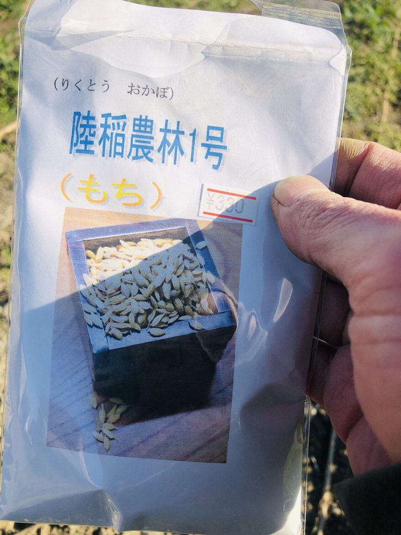 21 04 05 陸稲 農林1号 もち を直播き播種 すえなみかつひろ Note