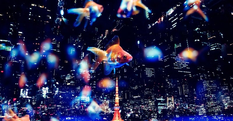 大殺界の過ごし方についての一意見 栄利 杏 note