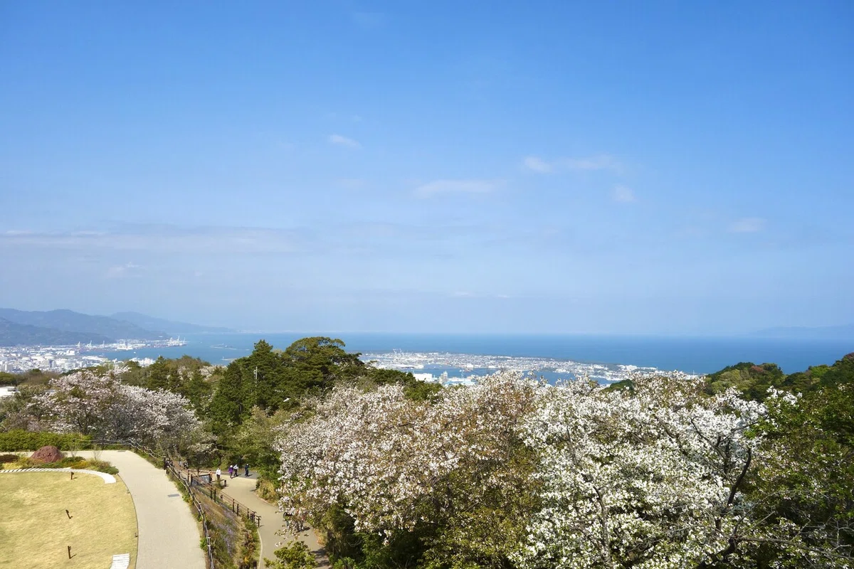 画像15