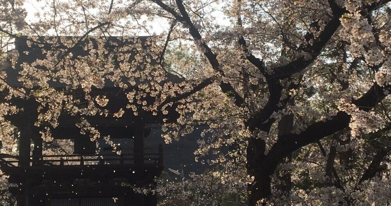 和歌・舞い散る桜