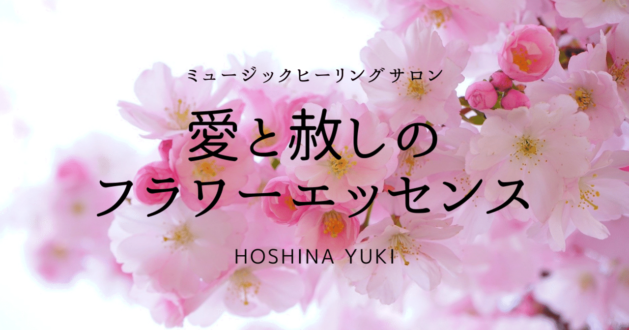 愛と赦しのフラワーエッセンス｜バイオリニストYUKI
