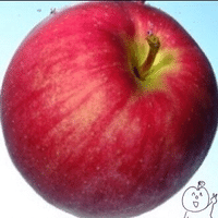 かりんご