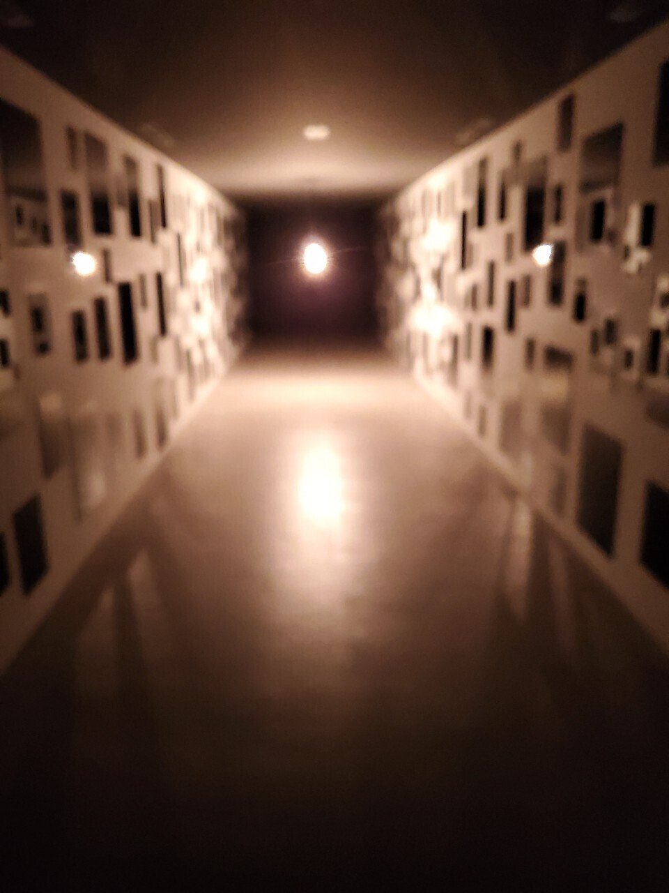 命が還る場所としての「心臓音のアーカイブ」｜こにのん