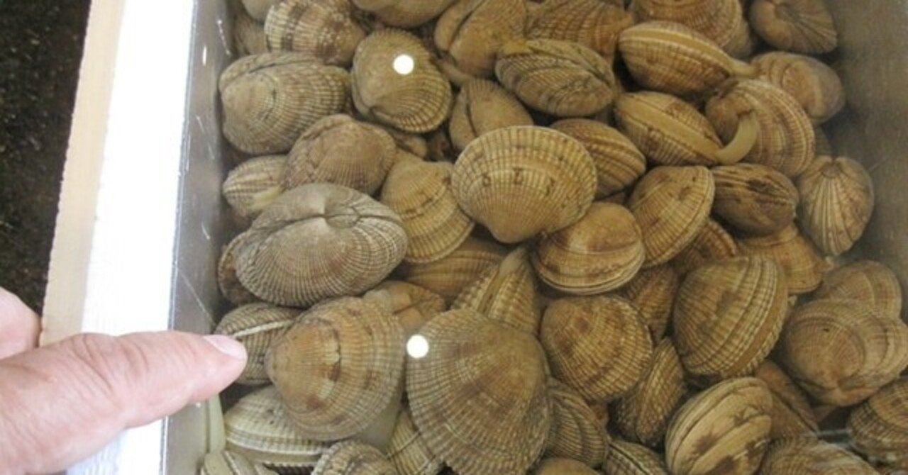 オニアサリ おさかなマイスター神谷 Note