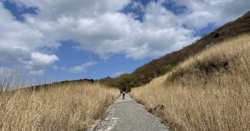 夫婦で箱根強羅、1泊2日旅行記。(前編)