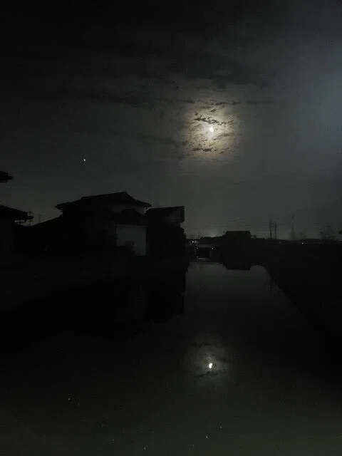 画像7